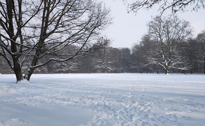 عاصفة هبة تدق الأبواب وتحذير من صقيع شديد